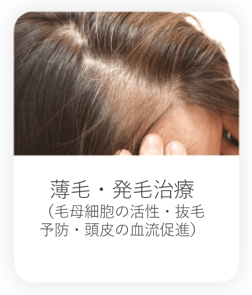 薄毛・発毛治療（毛母細胞の活性・抜毛予防・頭皮の血流促進）